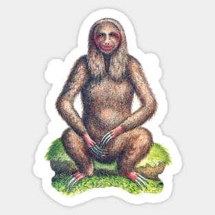 sloth cartoon naturalists vintage Sticker